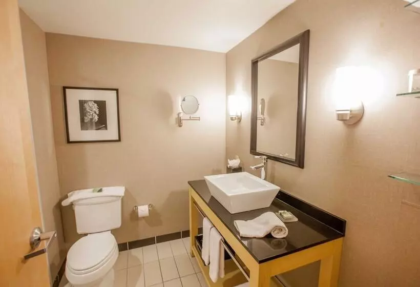 キングサイズベッドのスイートルーム, Wyndham Noblesville
