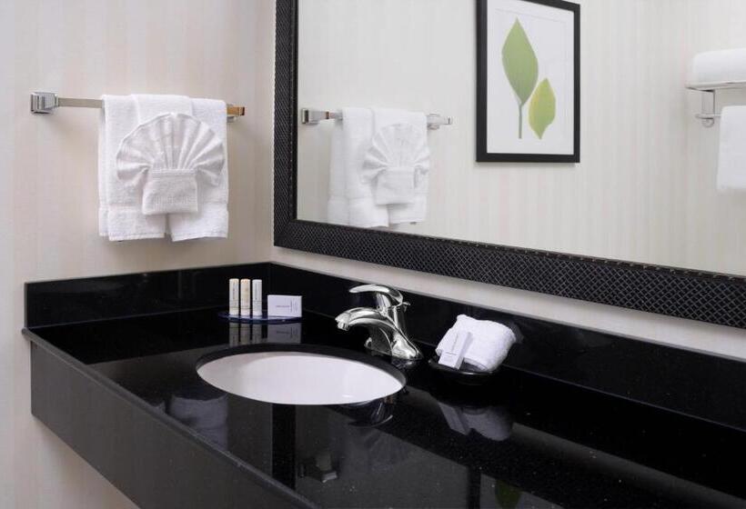 غرفة قياسية, Fairfield Inn & Suites By Marriott Dallas Plano The Colony