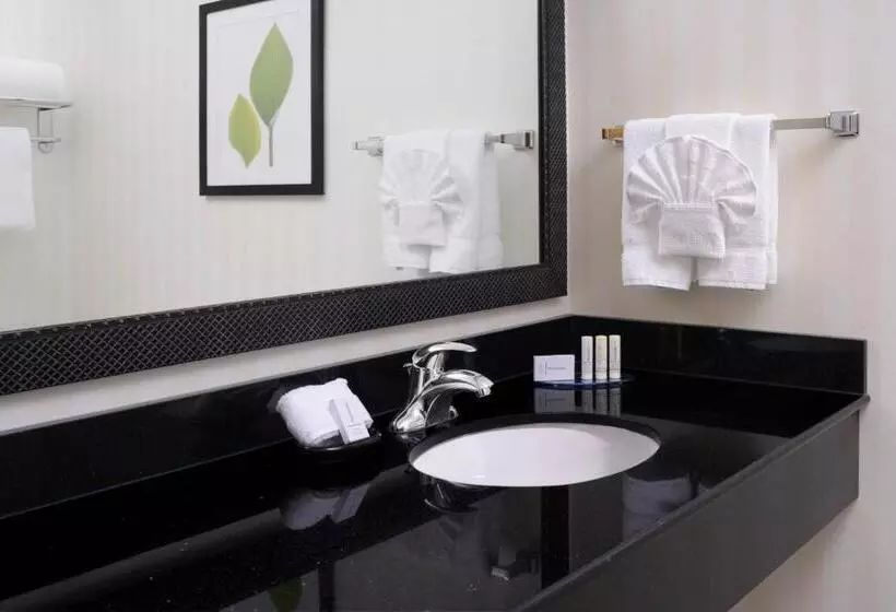 キングサイズベッドのスタンダードルーム, Fairfield Inn & Suites By Marriott Dallas Plano The Colony