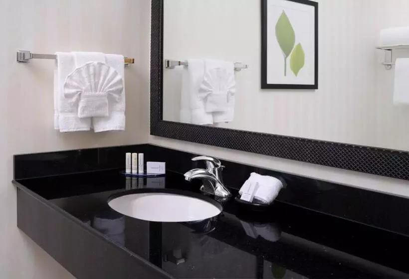キングサイドベッドのスタンダードワンルーム, Fairfield Inn & Suites By Marriott Dallas Plano The Colony