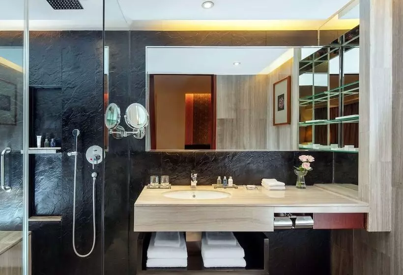 Bisneshuone, Radisson Blu Hotel Liuzhou