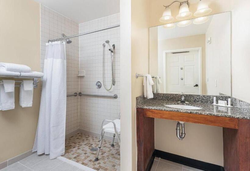 标准工作室, Towneplace Suites Suffolk Chesapeake