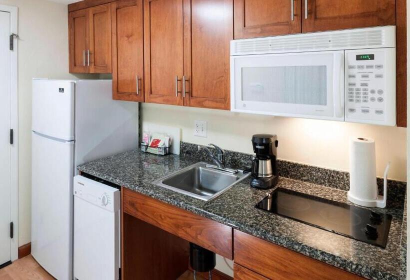标准工作室, Towneplace Suites Suffolk Chesapeake