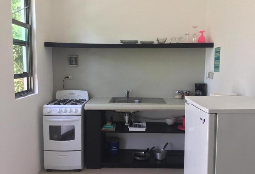 بانگلوی استاندارد, Camp Akumal   Hosted Family Bungalows