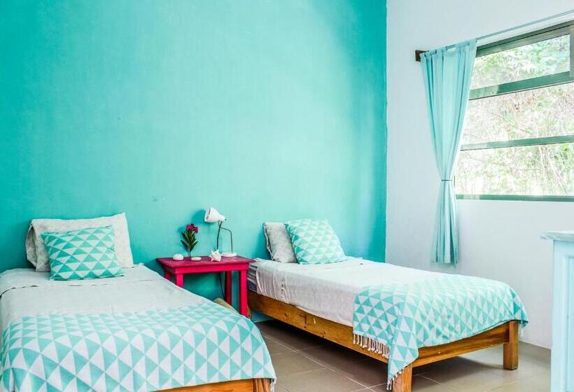 بنگله خانوادگی, Camp Akumal   Hosted Family Bungalows