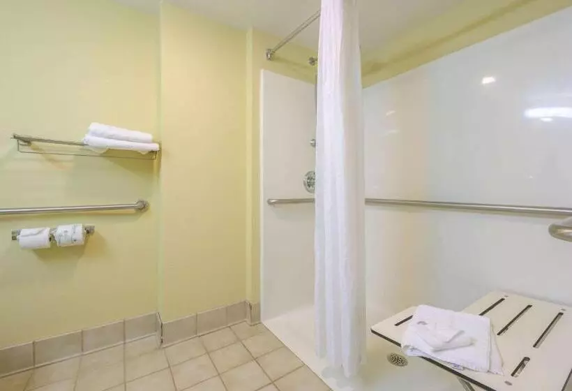 身障者適用スタンダードルーム, Econo Lodge Inn & Suites Triadelphia  Wheeling
