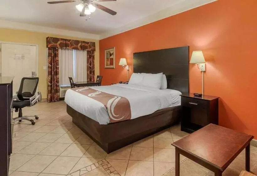 キングサイズベッドのスタンダードルーム, Quality Inn & Suites At The Outlets Mercedes Weslaco