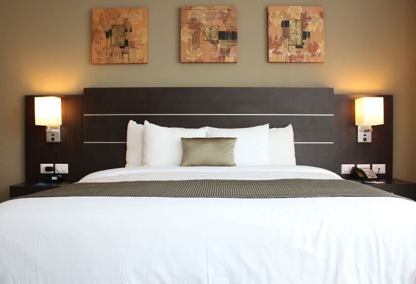 غرفة عائلية, Tryp By Wyndham Panama Centro