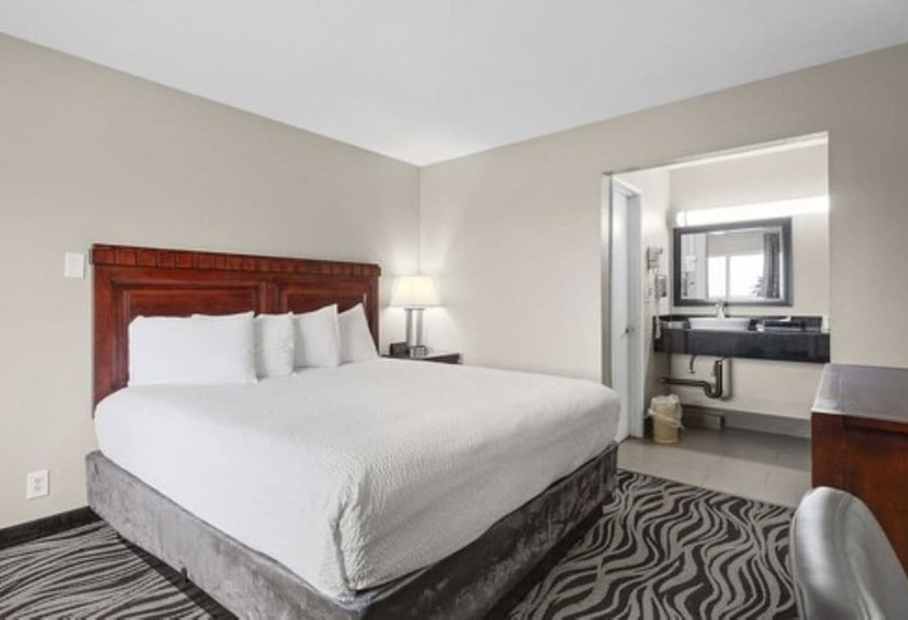 غرفة قياسية, Astoria Rivershore Motel