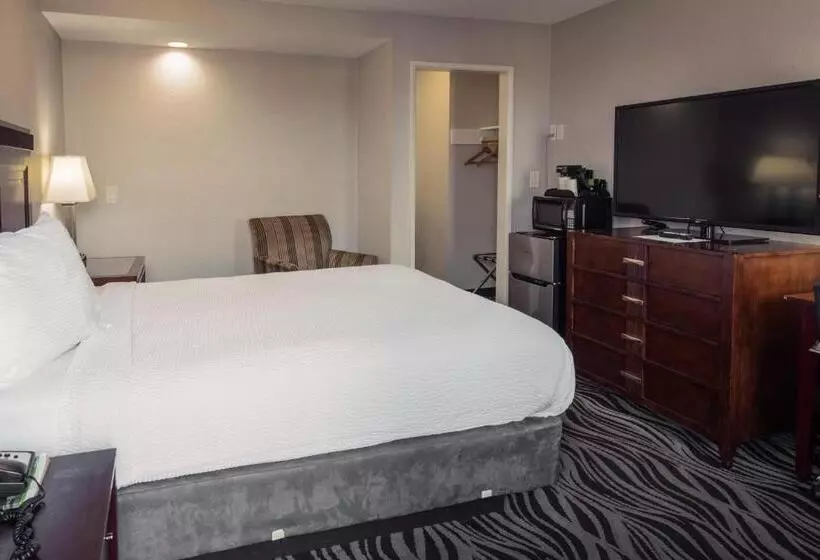 スイート（家族用）, Astoria Rivershore Motel