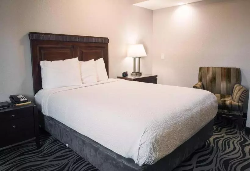 スイート（家族用）, Astoria Rivershore Motel