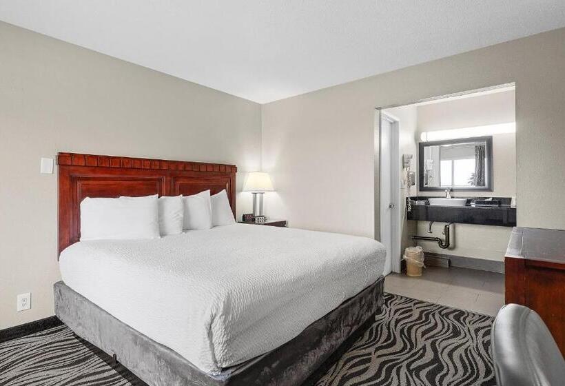 غرفة قياسية سرير كينج, Astoria Rivershore Motel