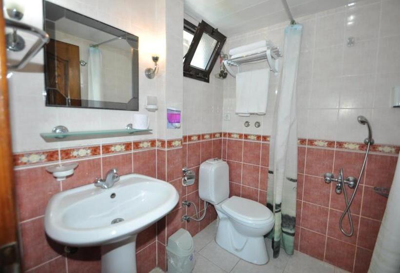 غرفة ديلوكس, Defne & Zevkim