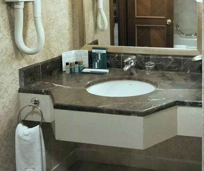 اتاق استاندارد با چشم‌انداز شهر, Diplomat Hotel By Ag Hotels Group