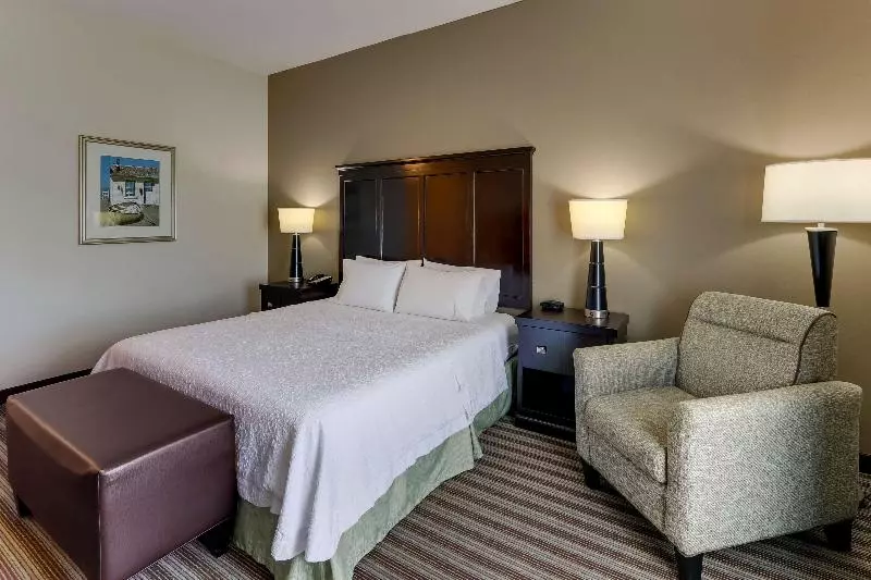 キングサイズベッドのスタンダードルーム, Hampton Inn & Suites Swansboro Near Camp Lejeune