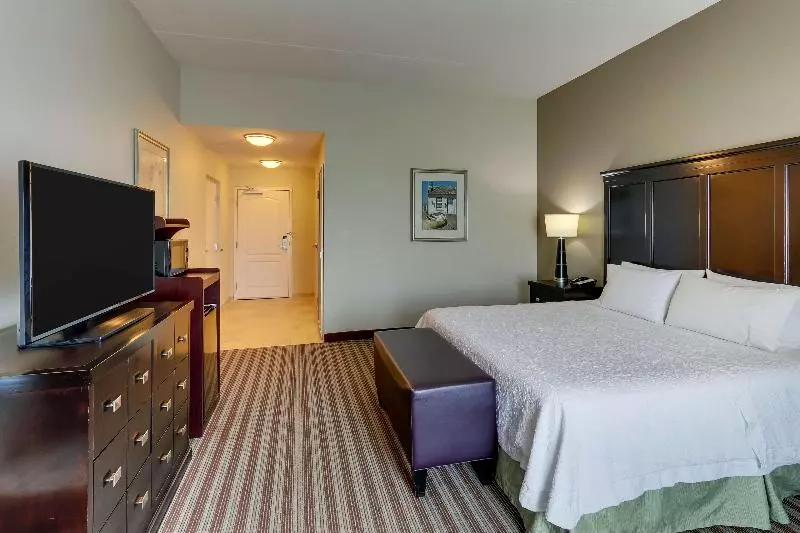 キングサイズベッドのスタンダードルーム, Hampton Inn & Suites Swansboro Near Camp Lejeune