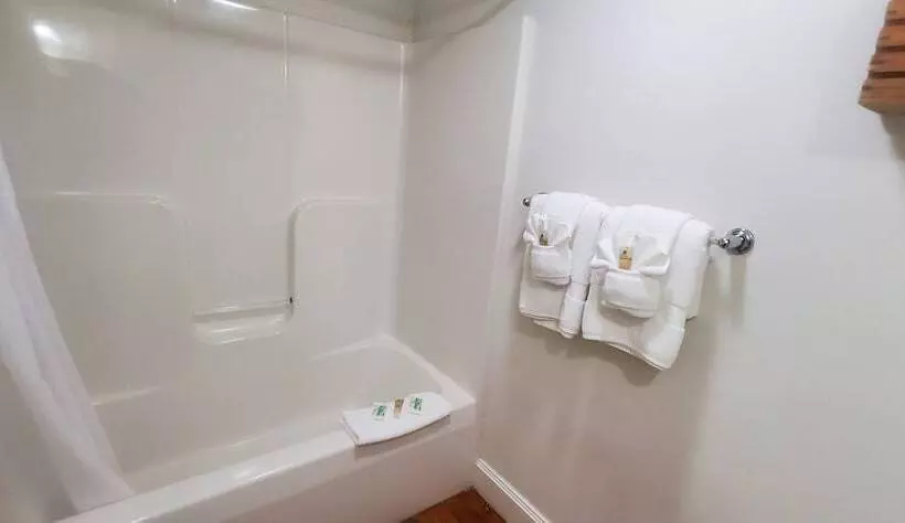 スタンダード４人部屋, Old Orchard Beach Inn