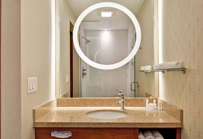 行政套房, Springhill Suites Denver At Anschutz Medical Campus