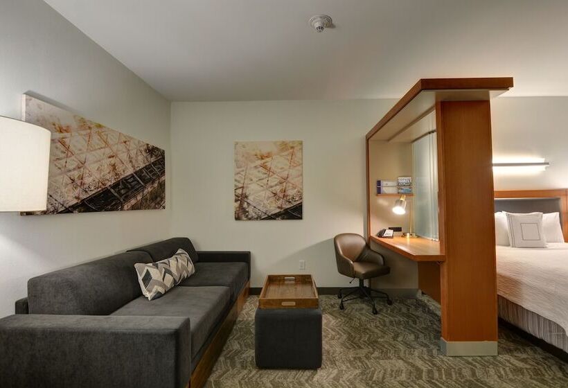 行政套房, Springhill Suites Denver At Anschutz Medical Campus