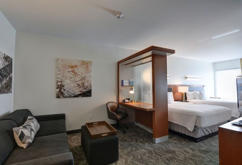 行政套房, Springhill Suites Denver At Anschutz Medical Campus