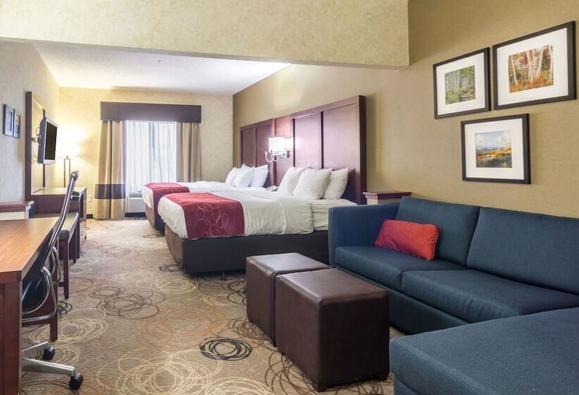 Люкс, Comfort Suites Southfield Detroit