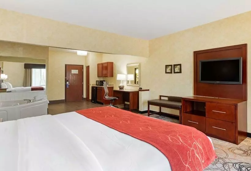 ハイドロマッサージバス付きスイート, Comfort Suites Southfield Detroit
