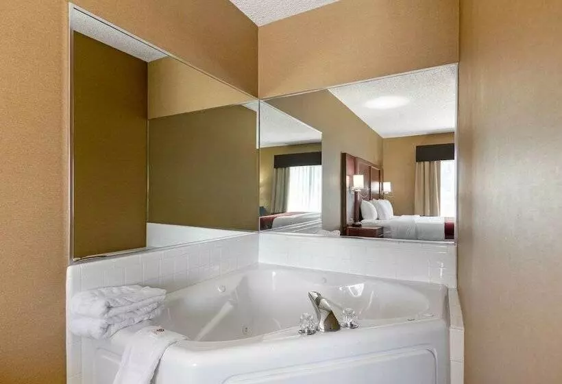 ハイドロマッサージバス付きスイート, Comfort Suites Southfield Detroit
