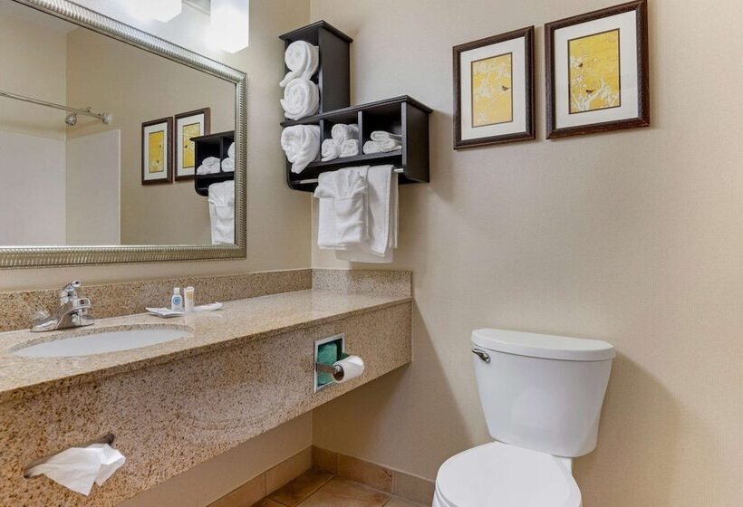 جناح مزود بجاكوزى, Comfort Suites Southfield Detroit