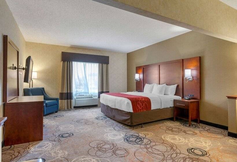 Люкс Адаптированный для Инвалидов, Comfort Suites Southfield Detroit
