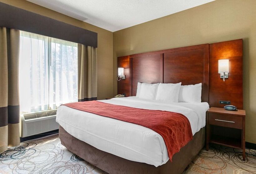 Люкс, Comfort Suites Southfield Detroit