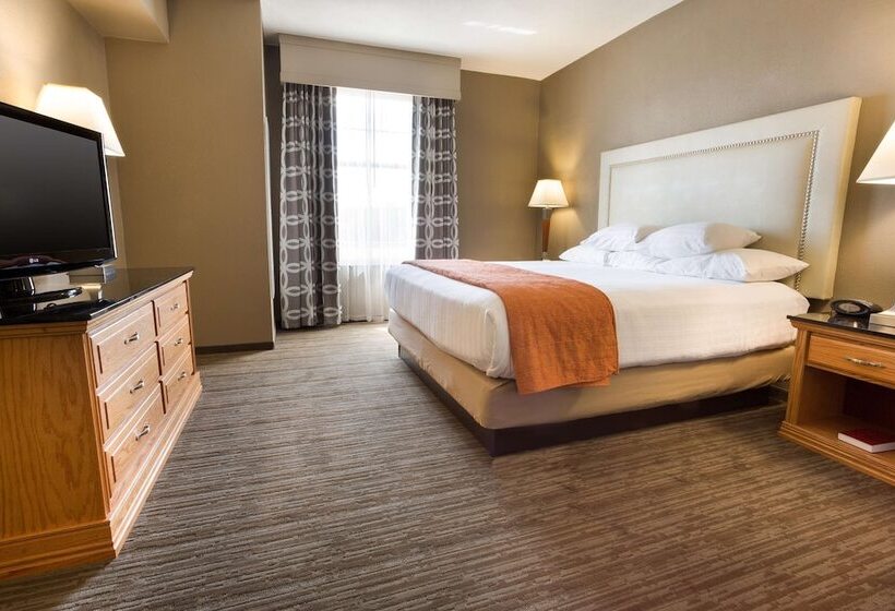 Chambre Deluxe, Drury Inn & Suites San Antonio North Stone Oak
