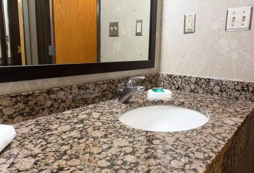 スイート, Drury Inn & Suites San Antonio North Stone Oak