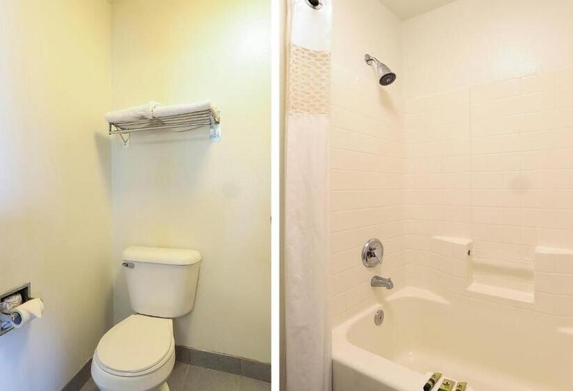 اتاق استاندارد با تخت بزرگ, Siletz Bay Lodge