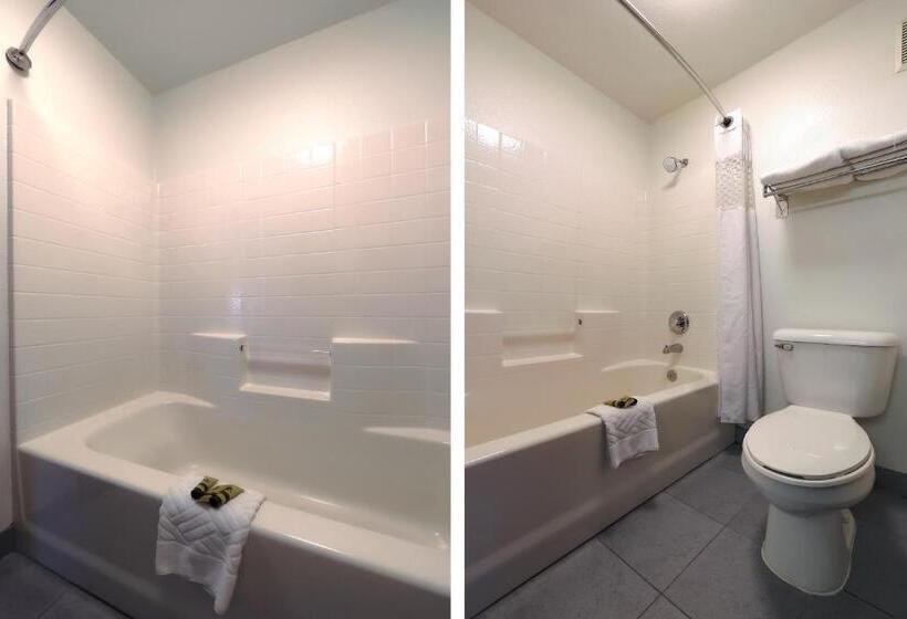 اتاق استاندارد با چشم‌انداز, Siletz Bay Lodge