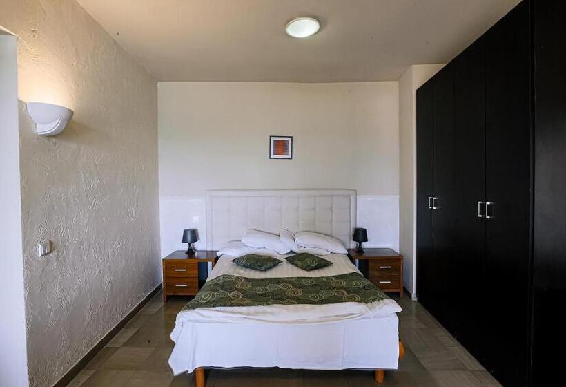 Standard Studio, The New Hotel Blue Weiss