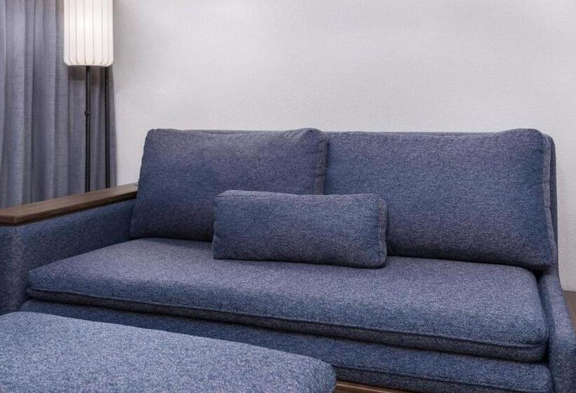 חדר סטנדרט, מיטת קינג, מותאם לאדם עם מוגבלויות, Courtyard Tallahassee North/i10 Capital Circle