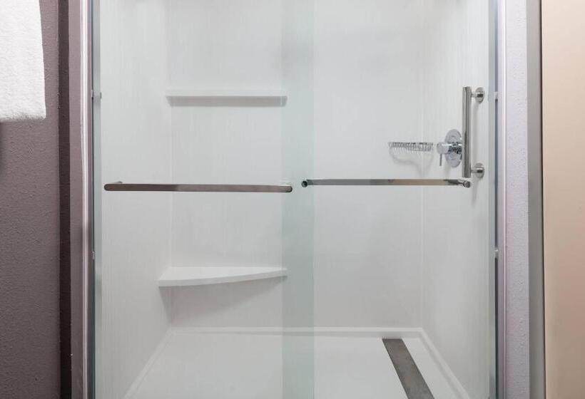 장애인을 위한 킹사이즈 침대 스탠다드 룸, Courtyard Tallahassee North/i10 Capital Circle