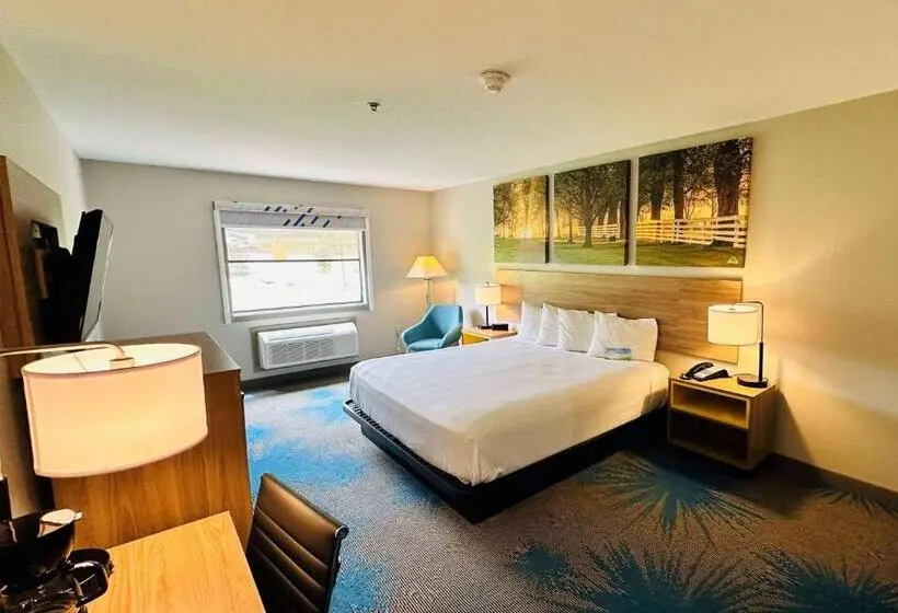 身障者適用キングサイズベッドルーム, Days Inn & Suites By Wyndham Wynne