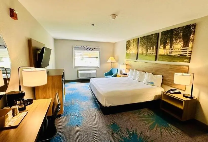 身障者適用キングサイズベッドルーム, Days Inn & Suites By Wyndham Wynne