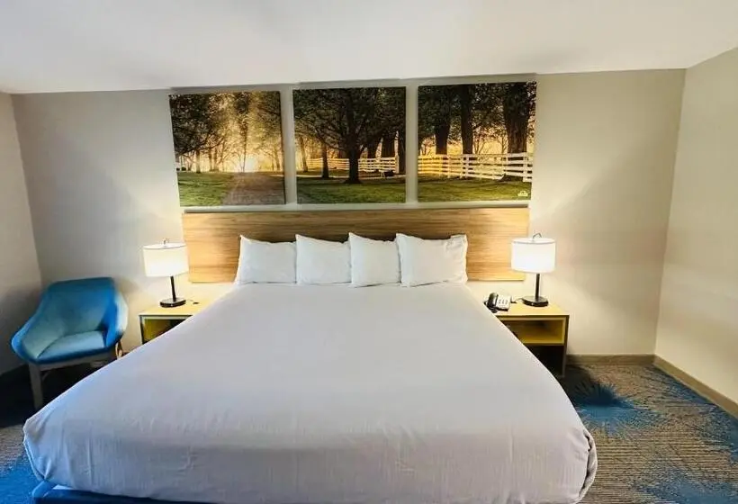 身障者適用キングサイズベッドルーム, Days Inn & Suites By Wyndham Wynne