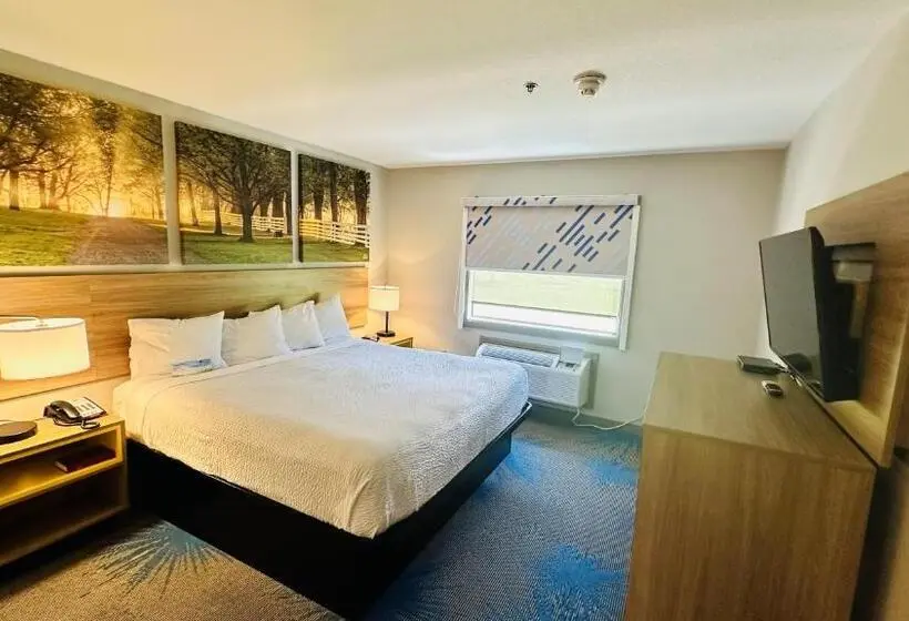 キングサイズベッドのデラックススイート, Days Inn & Suites By Wyndham Wynne