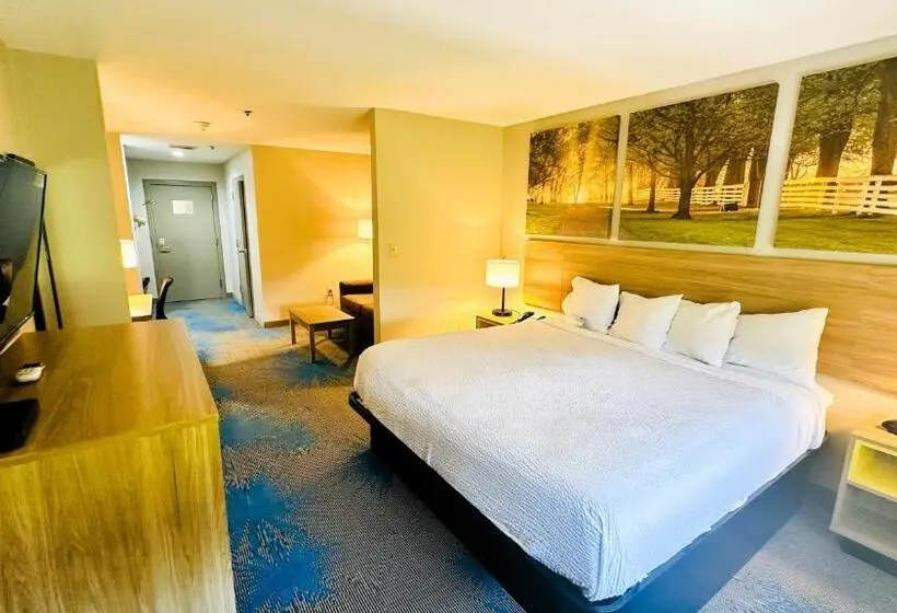 キングサイズベッドのデラックススイート, Days Inn & Suites By Wyndham Wynne