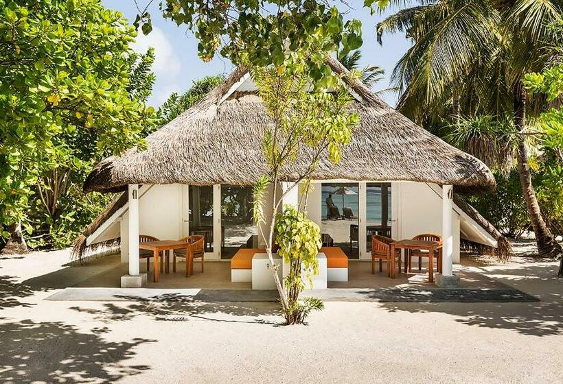 标准间, Lux South Ari Atoll Resort & Villas