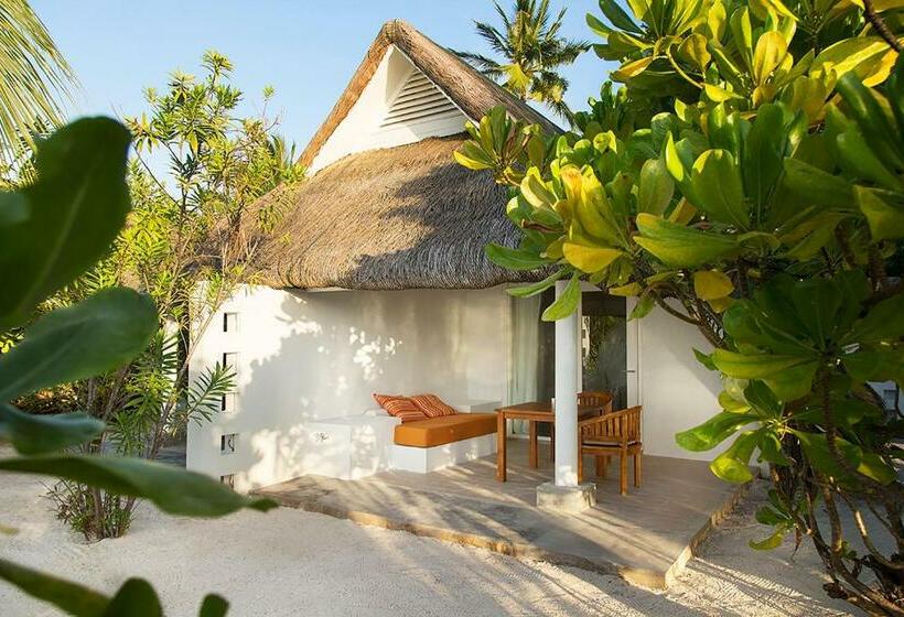 标准间, Lux South Ari Atoll Resort & Villas