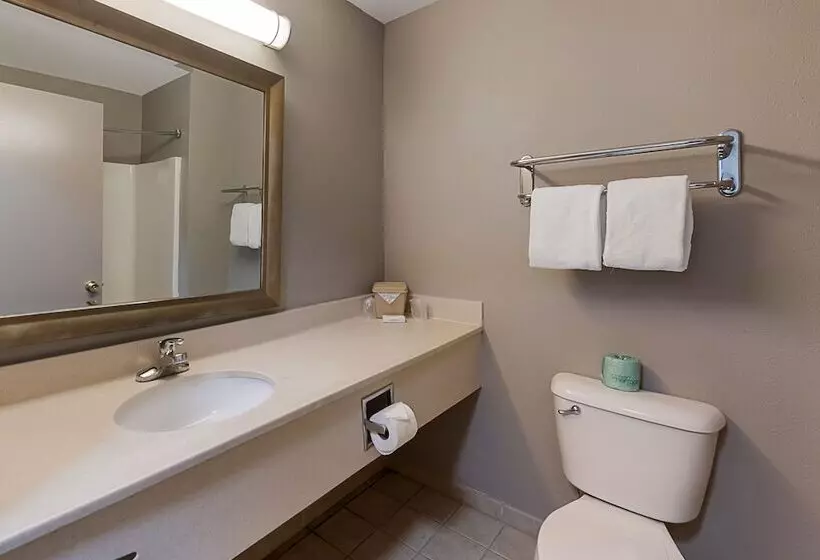 デラックスルーム, Red Roof Inn Newport News  Yorktown