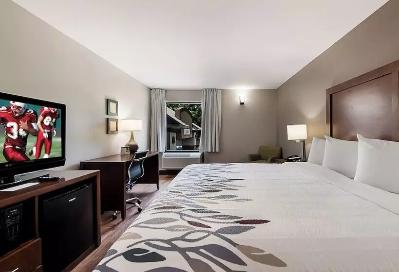 障害者適応デラックスルーム, Red Roof Inn Newport News  Yorktown