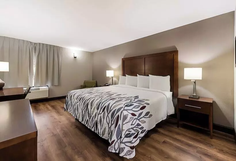 障害者適応デラックスルーム, Red Roof Inn Newport News  Yorktown