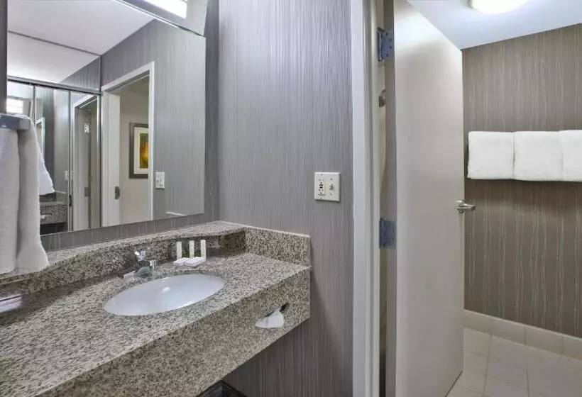 Standard-huone King-vuode, Courtyard By Marriott Somerset
