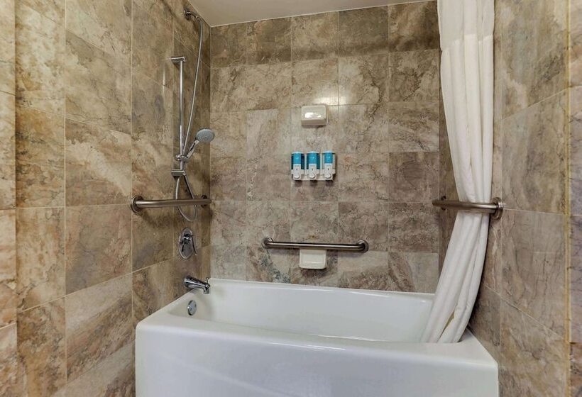 اتاق دلوکس مخصوص معلولین, Drury Plaza Hotel New Orleans