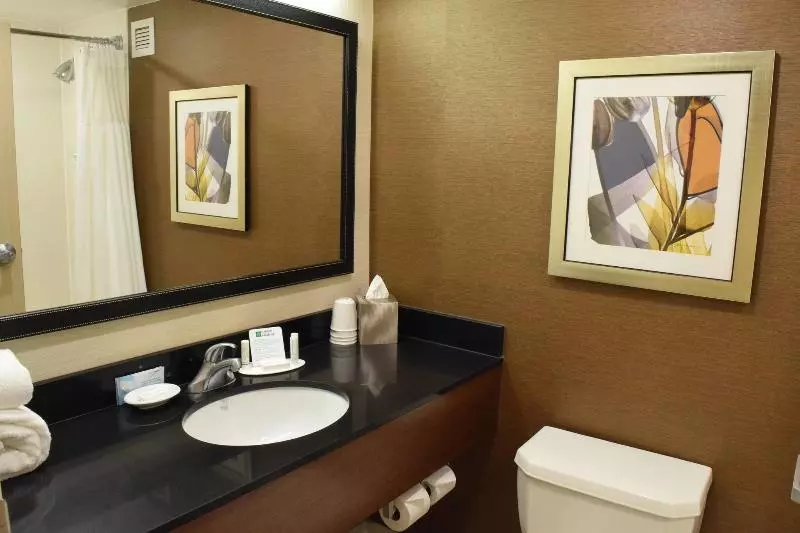 اتاق استاندارد با تخت بزرگ, Fairfield Inn By Marriot Binghamton